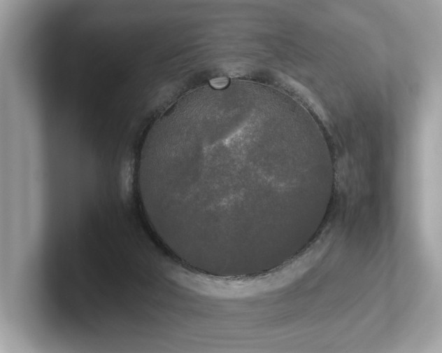 X0000102300018200807251444