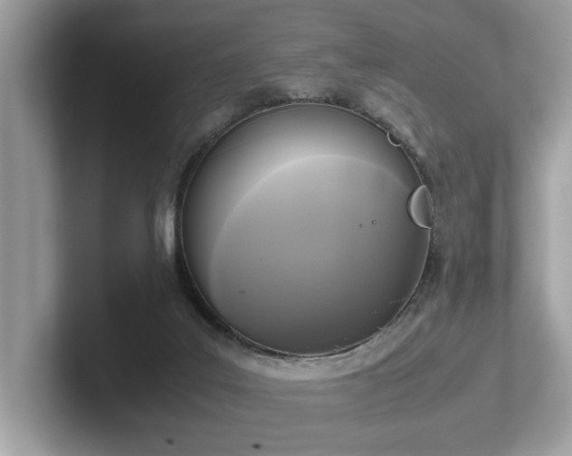 X0000102300019200807251444