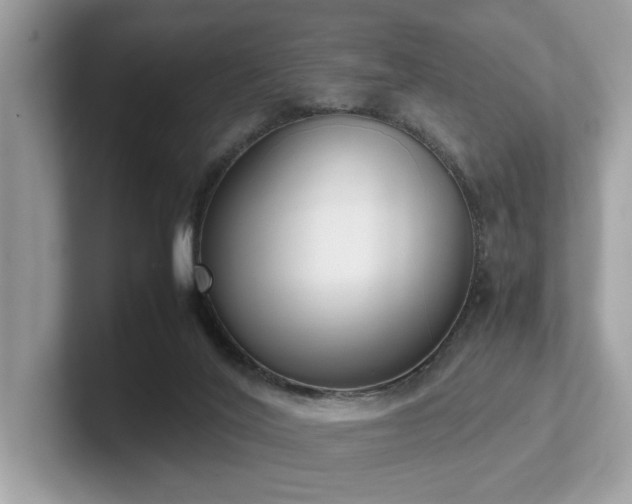 X0000102300020200807251444