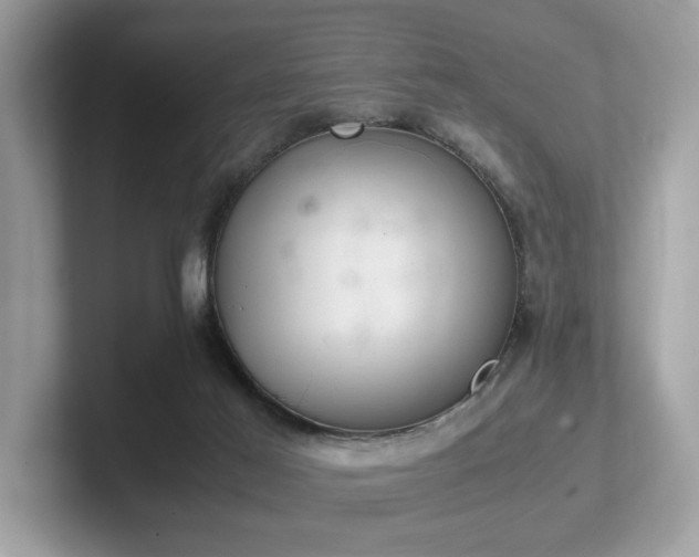 X0000102300021200807251444