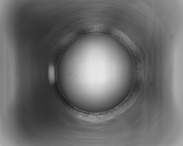 X0000102300022200807251444