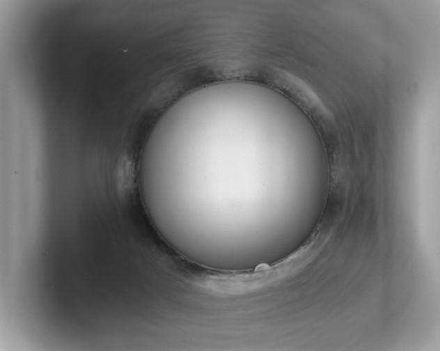 X0000102300025200807251444