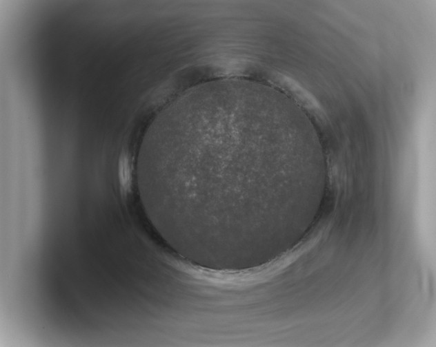 X0000102300026200807251444