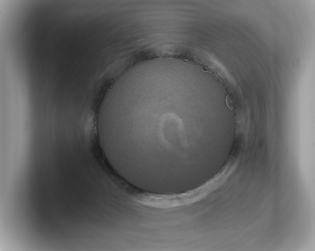 X0000102300029200807251444