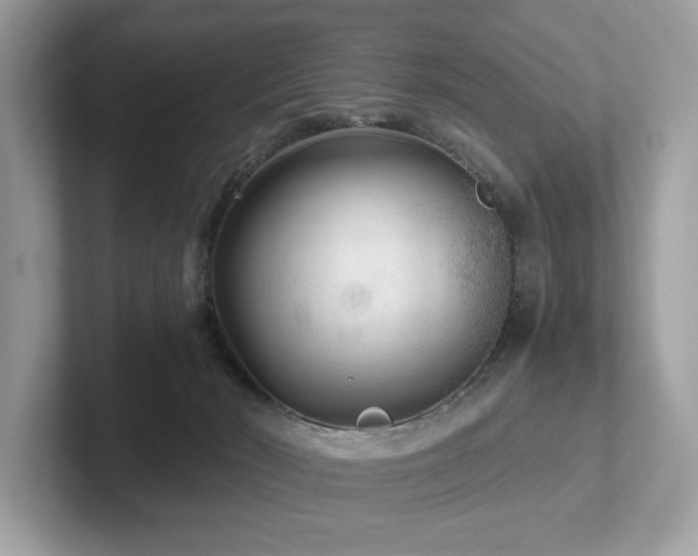 X0000102300030200807251444