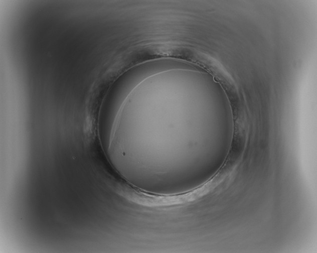 X0000102300031200807251444