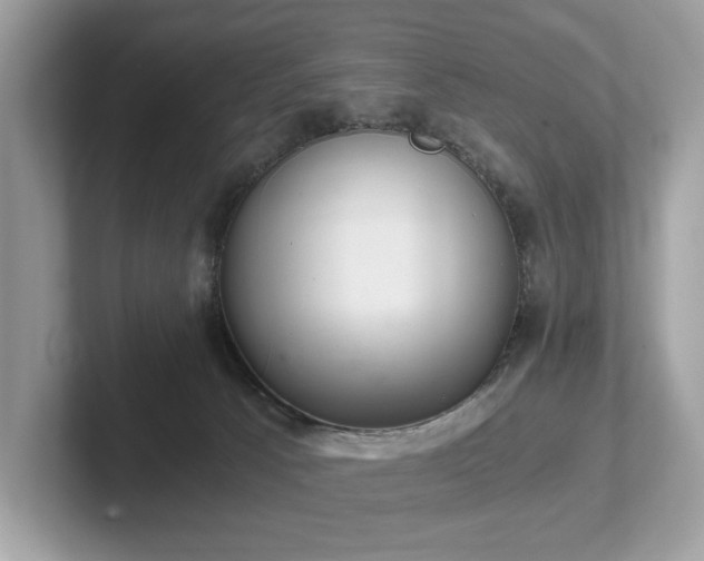 X0000102300033200807251444