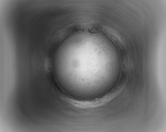 X0000102300034200807251444