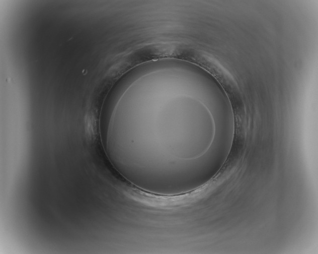 X0000102300035200807251444