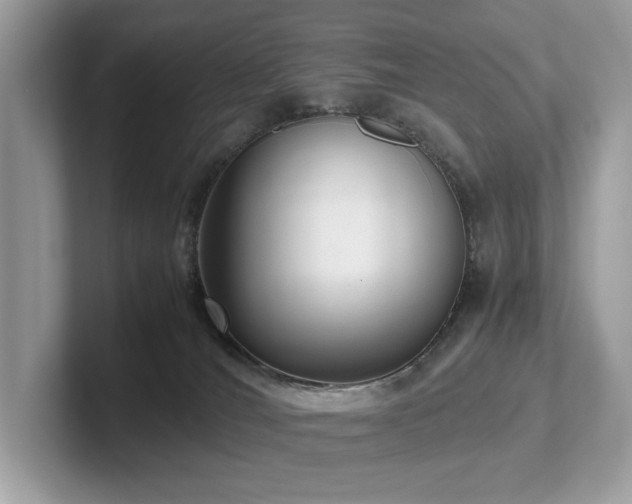 X0000102300036200807251444