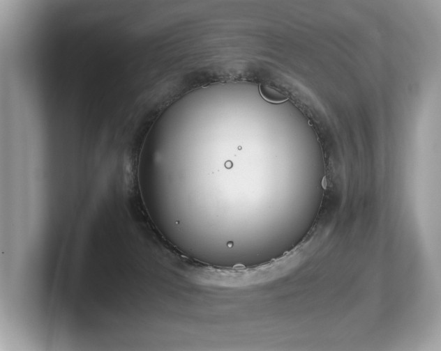 X0000102300037200807251444