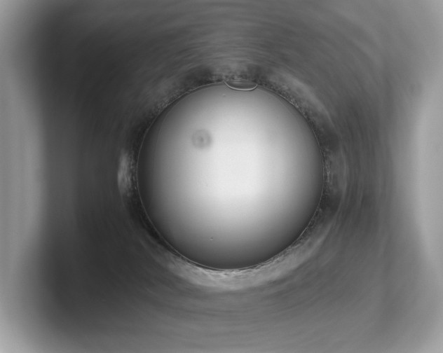 X0000102300038200807251444