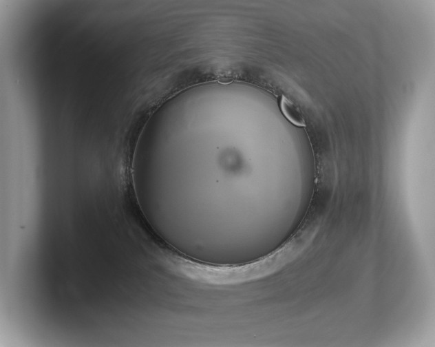 X0000102300039200807251444