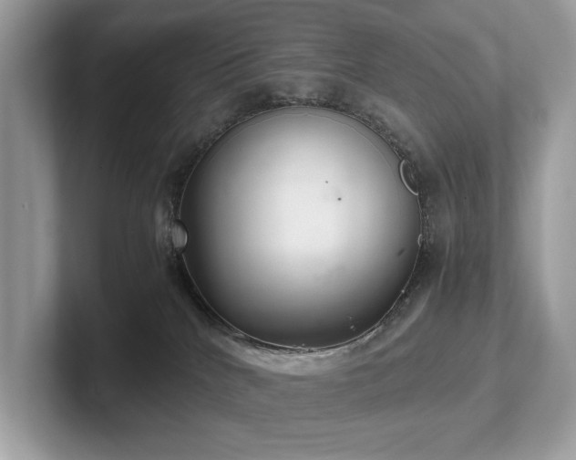 X0000102300040200807251444