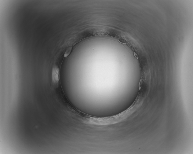 X0000102300041200807251444