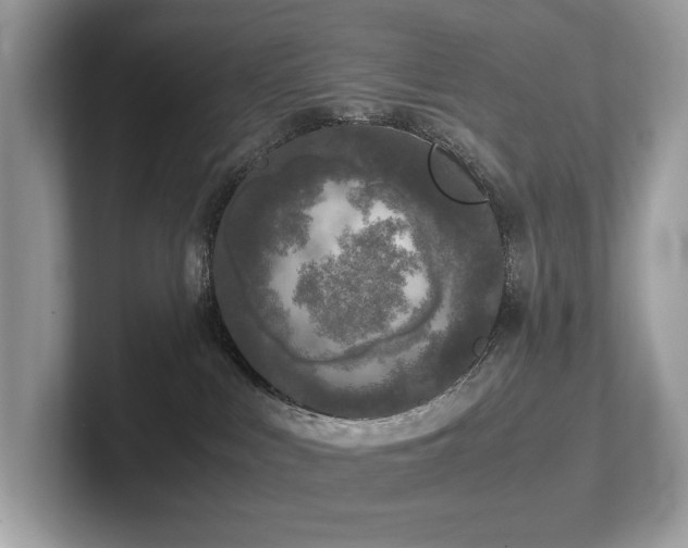 X0000102300043200807251444