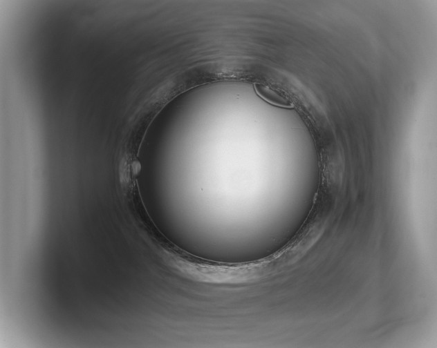 X0000102300044200807251444