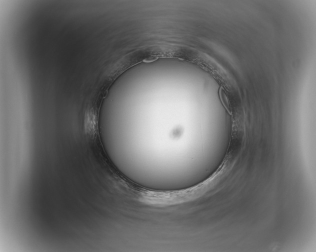 X0000102300045200807251444