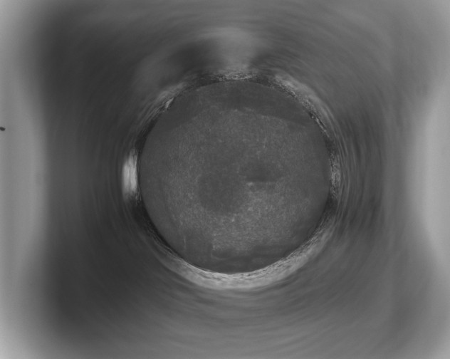 X0000102300046200807251444