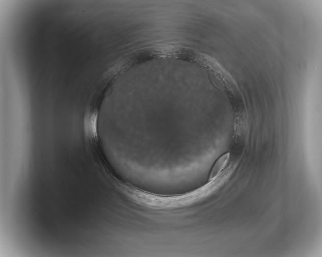 X0000102300047200807251444