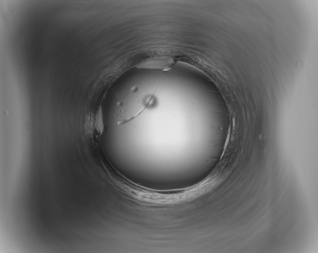 X0000102300048200807251444