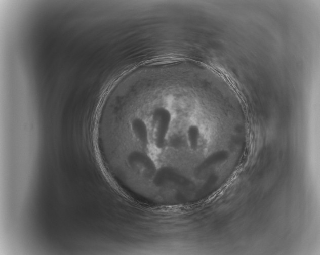 X0000102300049200807251443