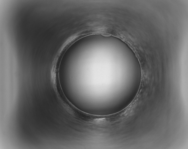 X0000102300054200807251443