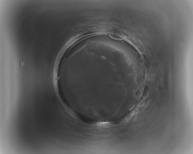 X0000102300055200807251443