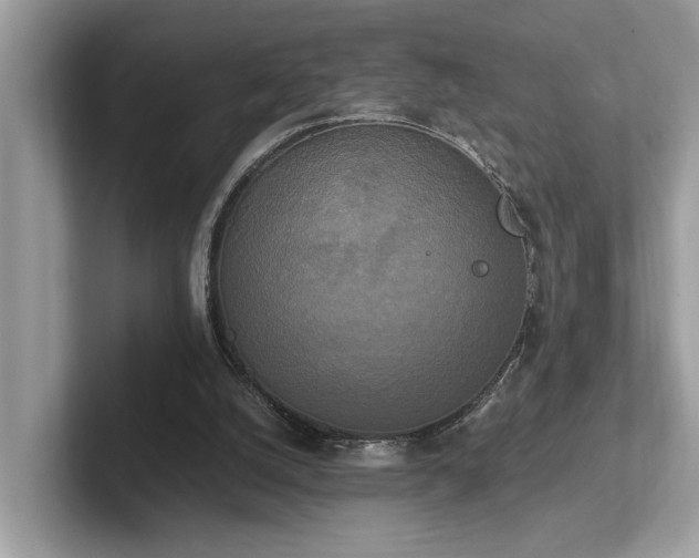 X0000102300056200807251443