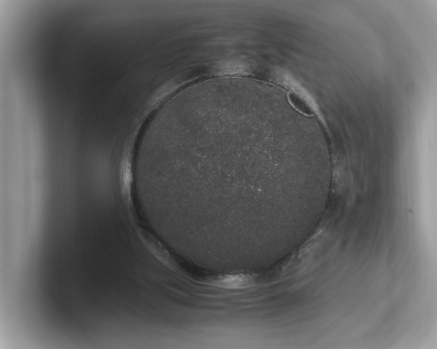 X0000102300059200807251443