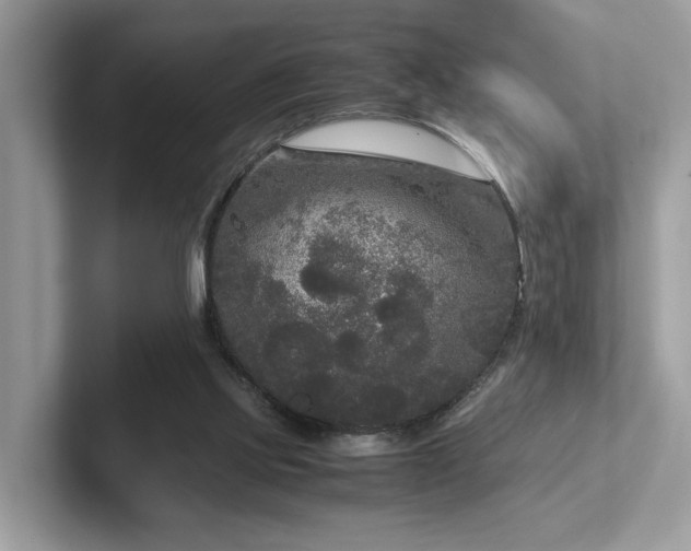 X0000102300061200807251443