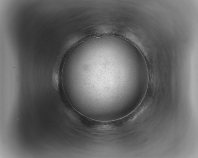 X0000102300063200807251443