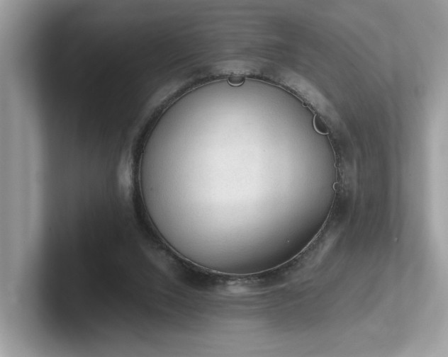 X0000102300064200807251443