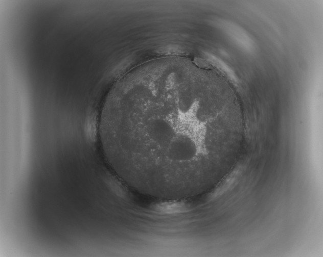 X0000102300065200807251443