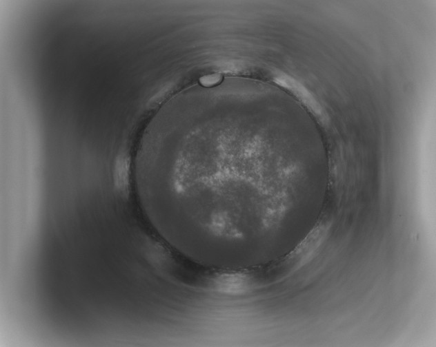 X0000102300066200807251443