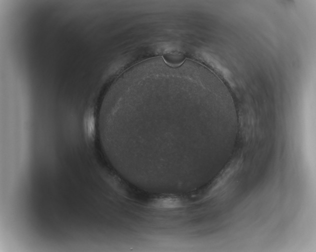 X0000102300067200807251443