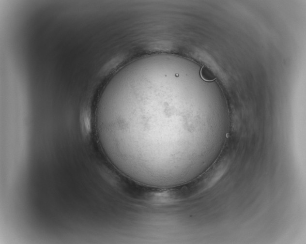 X0000102300068200807251443