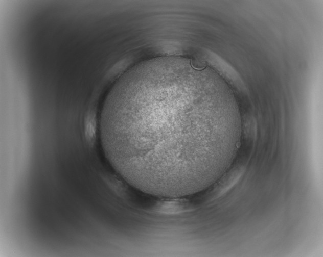 X0000102300072200807251443