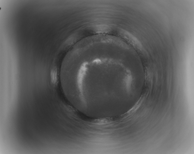 X0000102300074200807251443