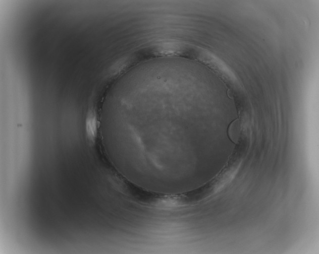 X0000102300076200807251443