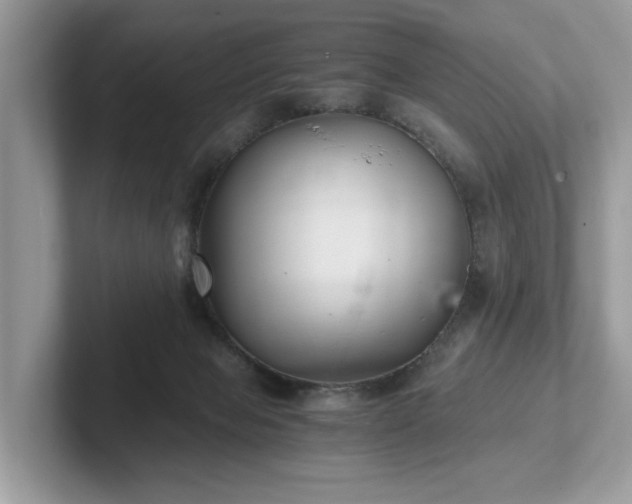 X0000102300077200807251443