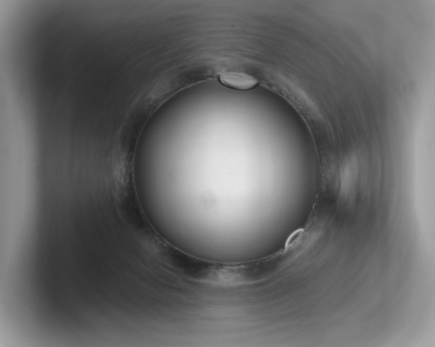 X0000102300078200807251443