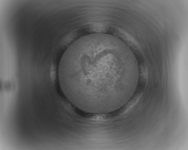 X0000102300080200807251443