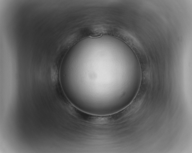 X0000102300081200807251443