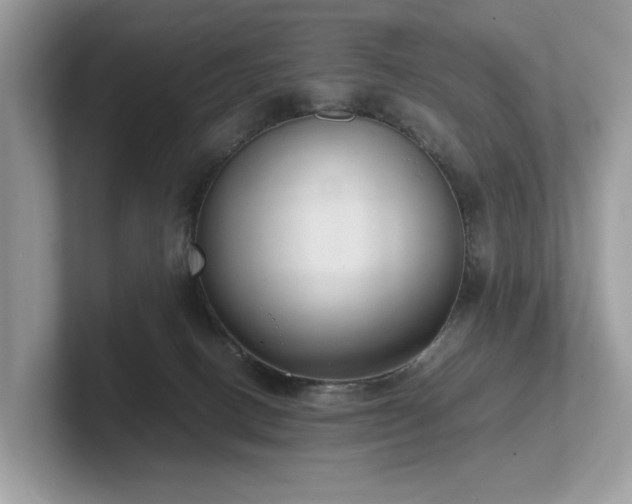 X0000102300082200807251443