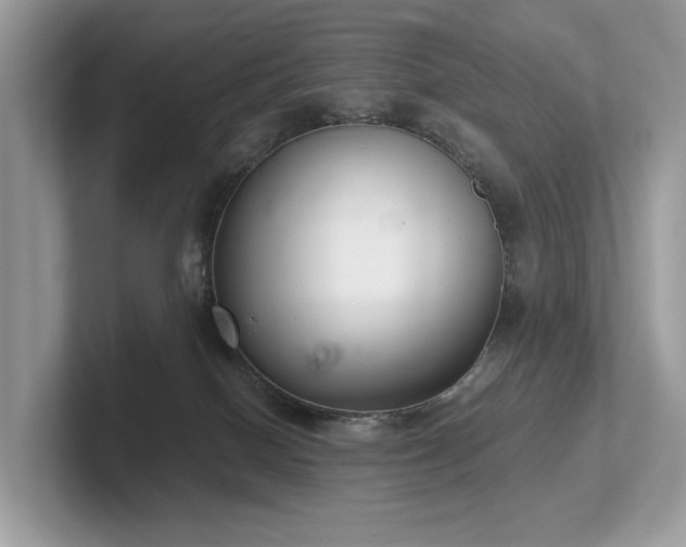 X0000102300086200807251443