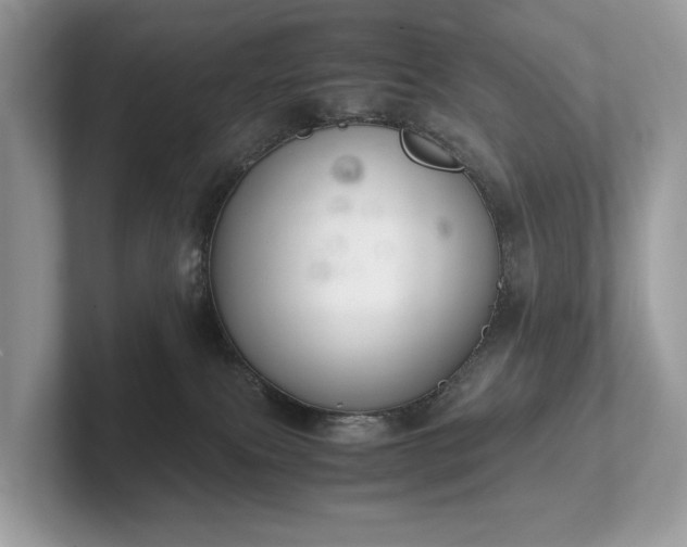 X0000102300087200807251443