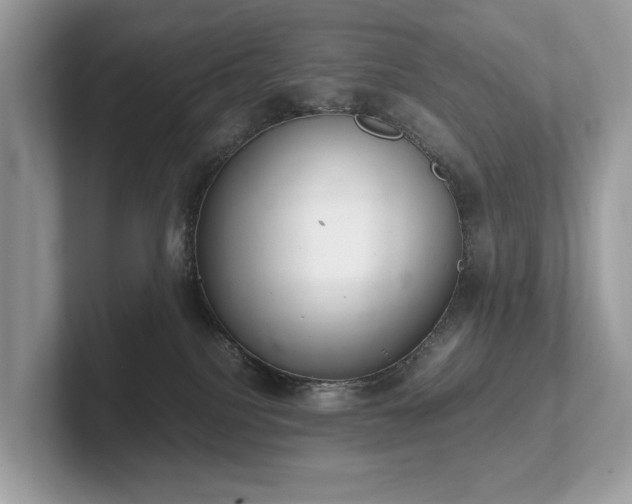 X0000102300088200807251443