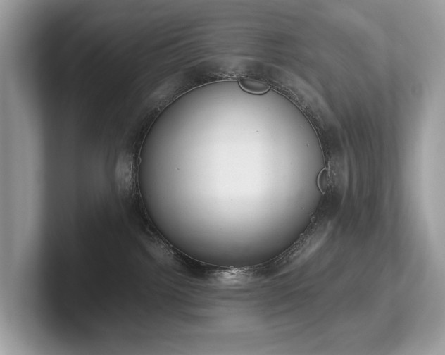 X0000102300092200807251444