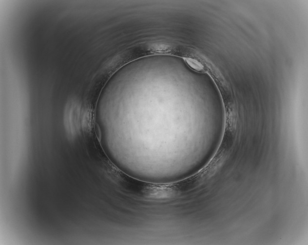 X0000102300093200807251444